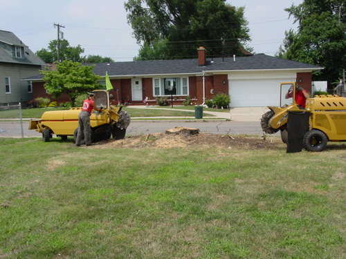 ./Gallery/2011 Bennet Lot Tree Removal/DSC06466.JPG